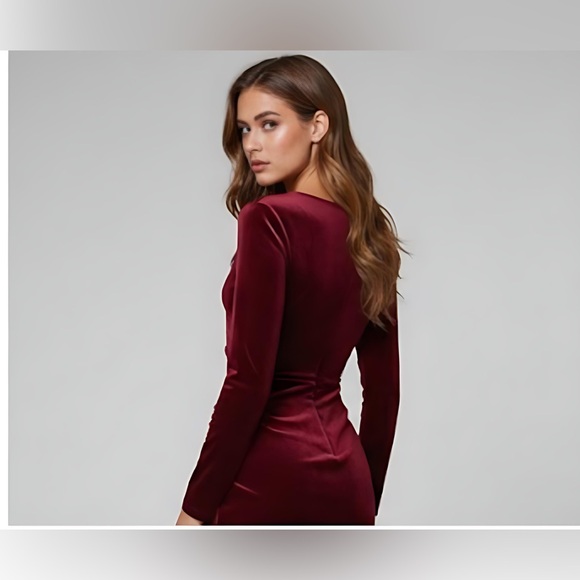 Ruched Front Velvet Dress Burgundy - Picture 7 of 8